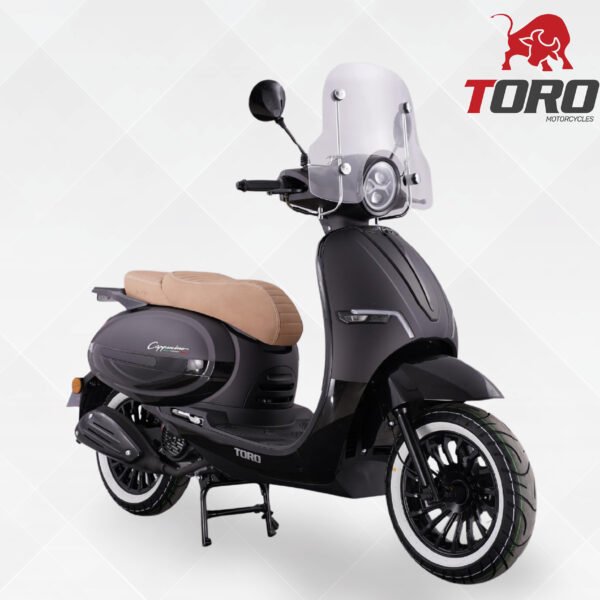 Toro Capuccino 180