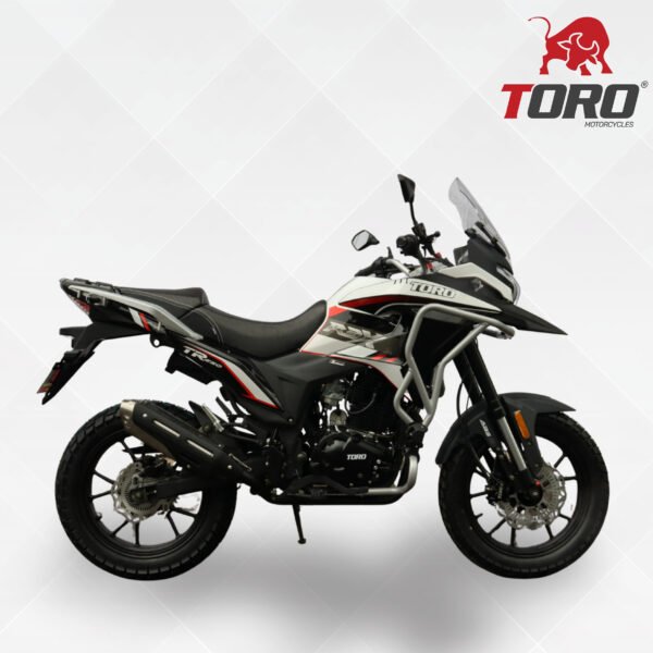 Toro R3X TR250